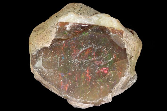 Precious, Ethiopian Fire Opal ( g) #190262